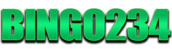 Logo BINGO234